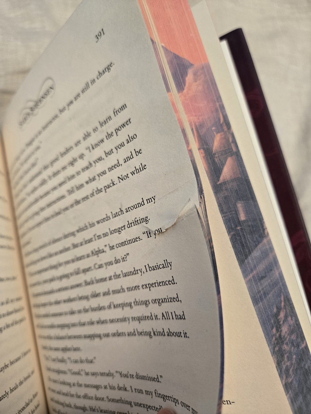 Waterstones - Direbound & Furybound Handsigned - Picture 7 of 8